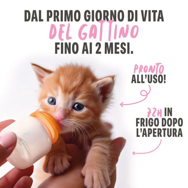 Schesir Kitten Milk latte di capra da bere Grain Free