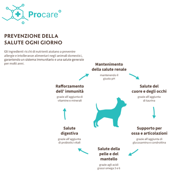 Grandorf Cat Adult Hypoallergenic Skin&Coat Care Pesce bianco e tacchino