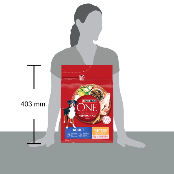 Purina One Dog Adult Medium/Maxi ricco di Pollo e riso