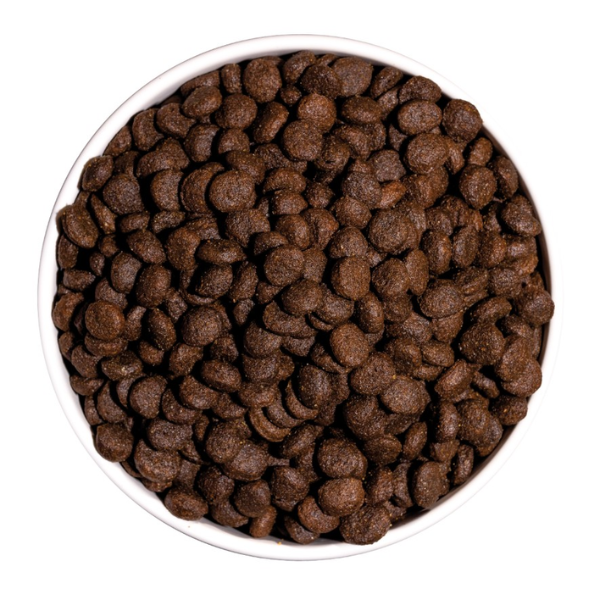 ownat prime grain free all breeds junior/puppy con agnello fresco immagine4