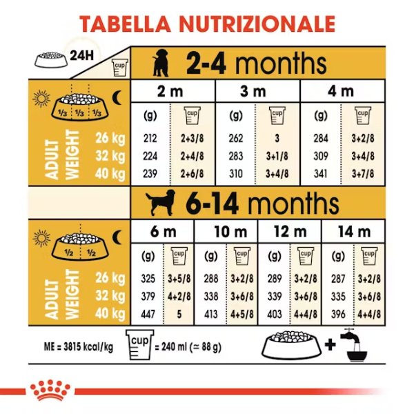 royal canin labrador retriever puppy (scadenza: 12/01/2026) immagine4