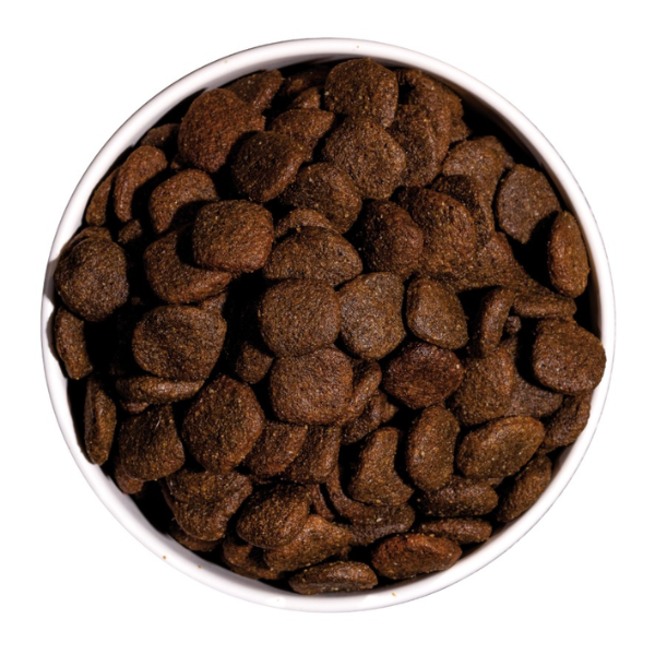 ownat grain free hypoallergenic mono-proteic all breeds adult con salmone fresco immagine4