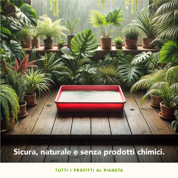 almo nature natural cat litter soft texture lettiera vegetale immagine8