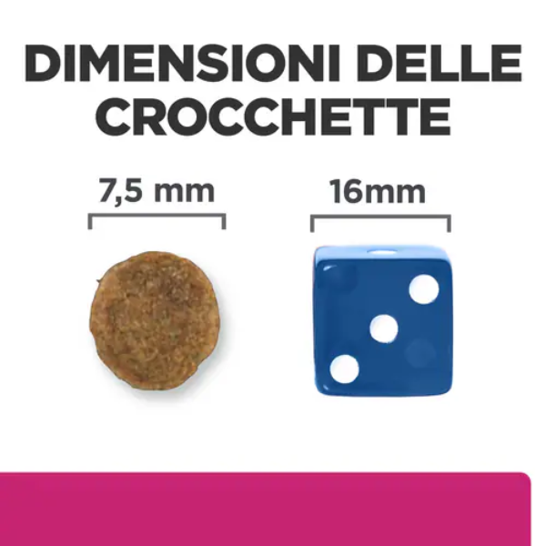 hill's prescription diet gastrointestinal biome mini alimento per cani immagine4