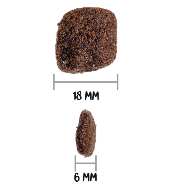 ownat grain free hypoallergenic mono-proteic all breeds adult con maiale fresco immagine5