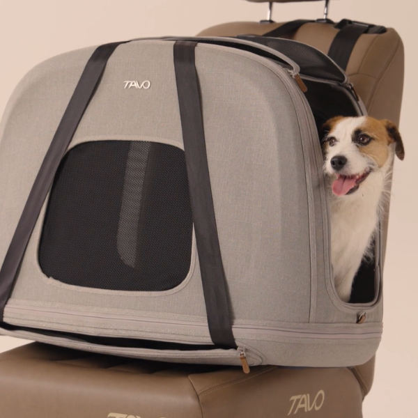 trasportino da viaggio per animali domestici con sistema isofix integrato crispin tavo immagine5