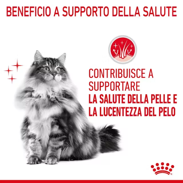 Royal Canin Hair e Skin Care Feline per la cura del pelo