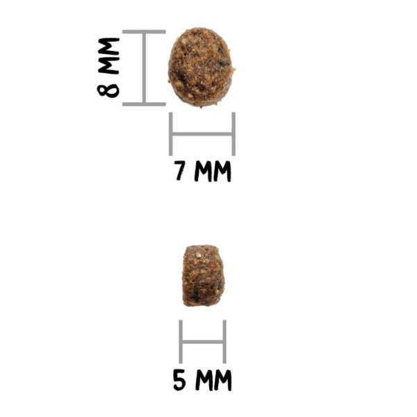 ownat just grain free cat sterilised con pesce fresco immagine5