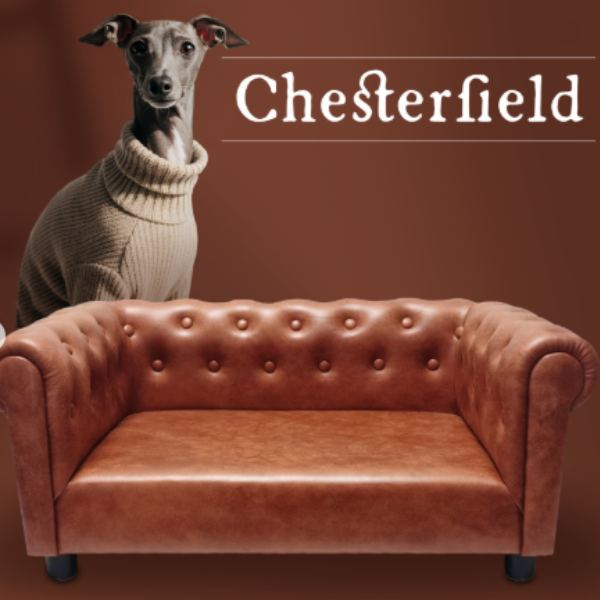 divanetto per cani chesterfield ferribiella maison immagine4