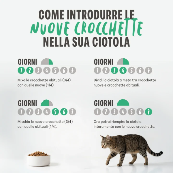 Schesir Animal Monoprotein formula Cat Adult con Pesce fresco