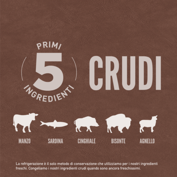 orijen regional red cat food immagine5