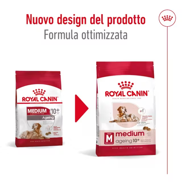 royal canin medium ageing 10+ (scadenza: 11/02/2026) immagine6