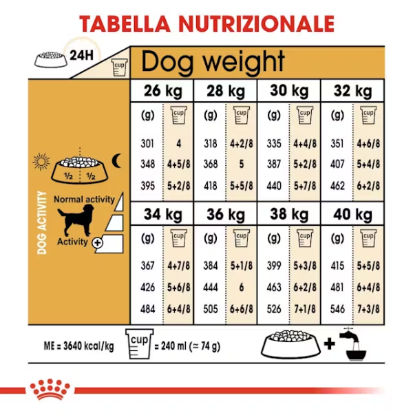 royal canin labrador retriever adult immagine5