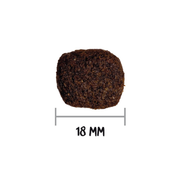 ownat grain free hypoallergenic mono-proteic all breeds adult con salmone fresco immagine5