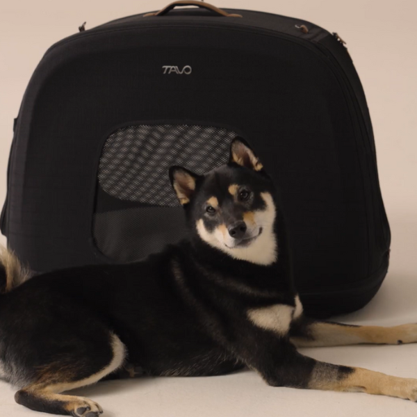 trasportino da viaggio per animali domestici con sistema isofix integrato crispin tavo immagine6