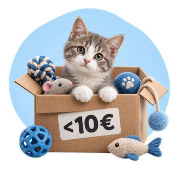 Essenziali Low Cost