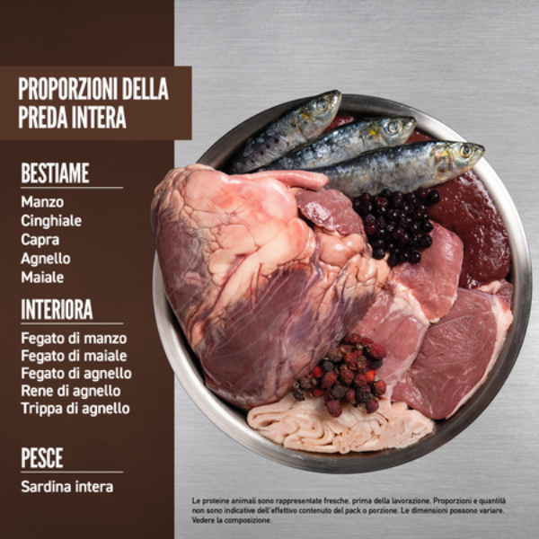 orijen regional red cat food immagine6