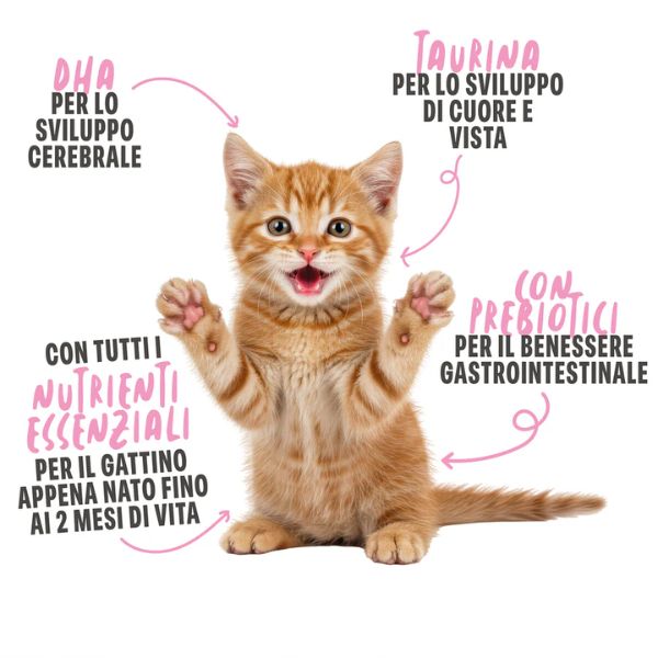 Schesir Kitten Milk latte di capra da bere Grain Free