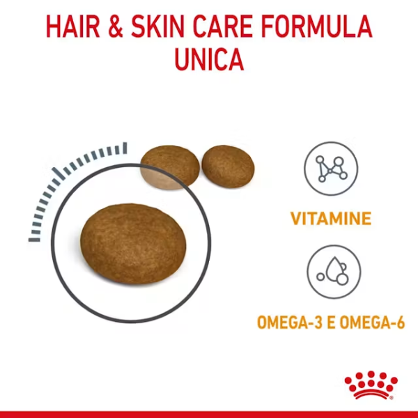 Royal Canin Hair e Skin Care Feline per la cura del pelo