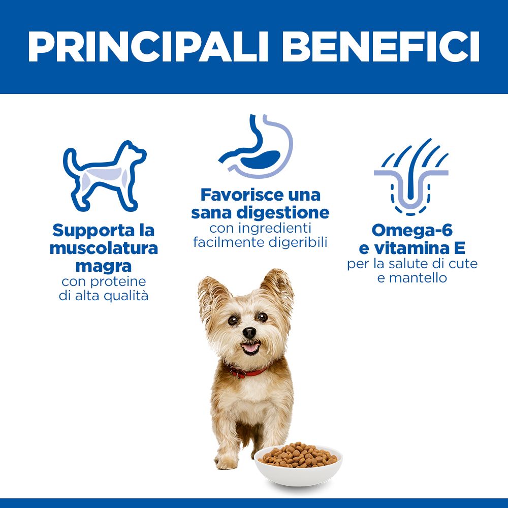 Hill's Science Plan Adult Small & Mini Alimento secco per cani al Pollo