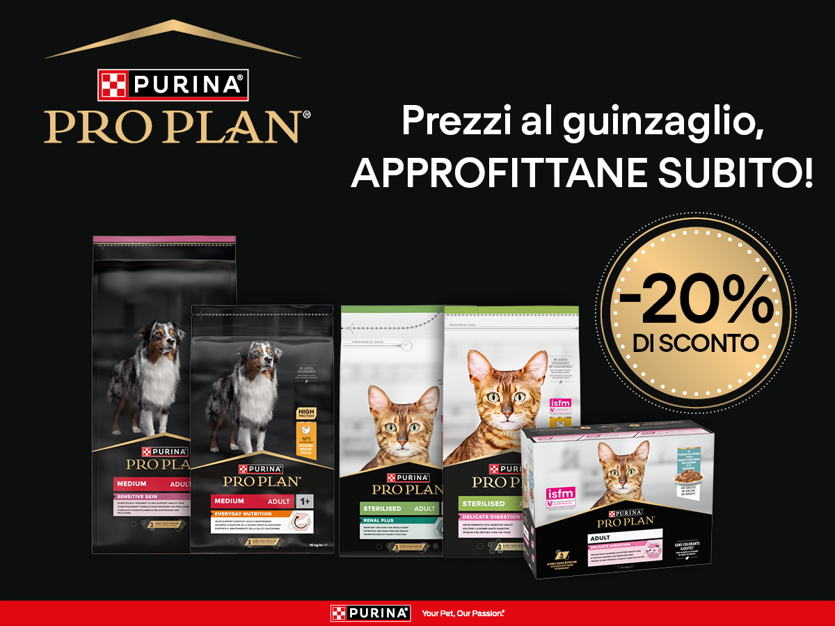 Bauzaar.it