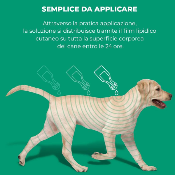 Exspot Spot-On antiparassitario per Cani
