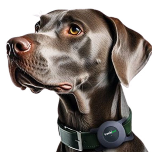 trackipet localizzatore satellitare gps per animali domestici immagine8