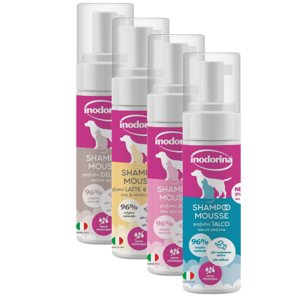 Inodorina Shampoo Mousse a Secco 250 ml
