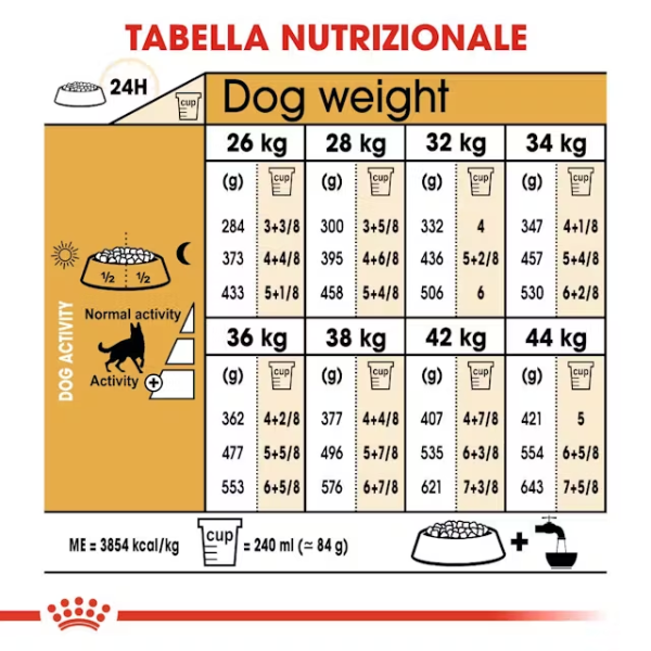 royal canin german shepherd adult pastore tedesco (scadenza: 11/01/2026) immagine4