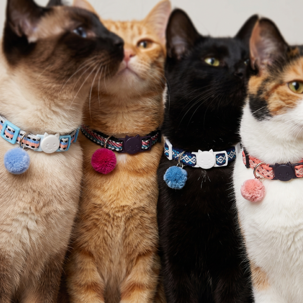 Collare per gatto a trama intrecciata Ferribiella