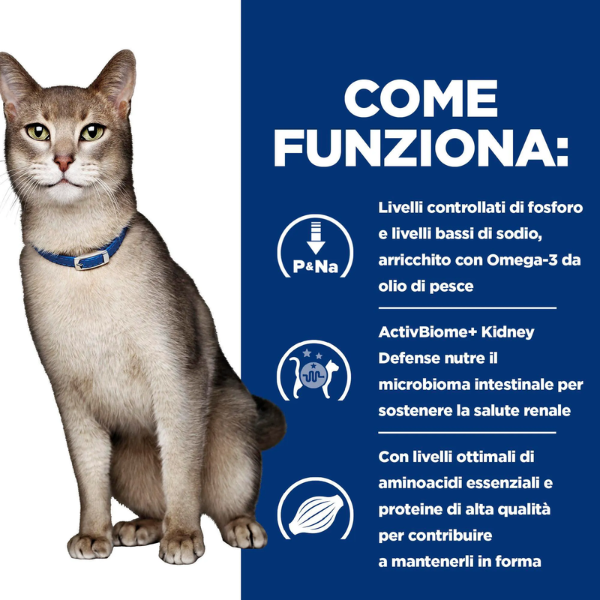 Hill's Prescription Diet k/d Feline con Salmone
