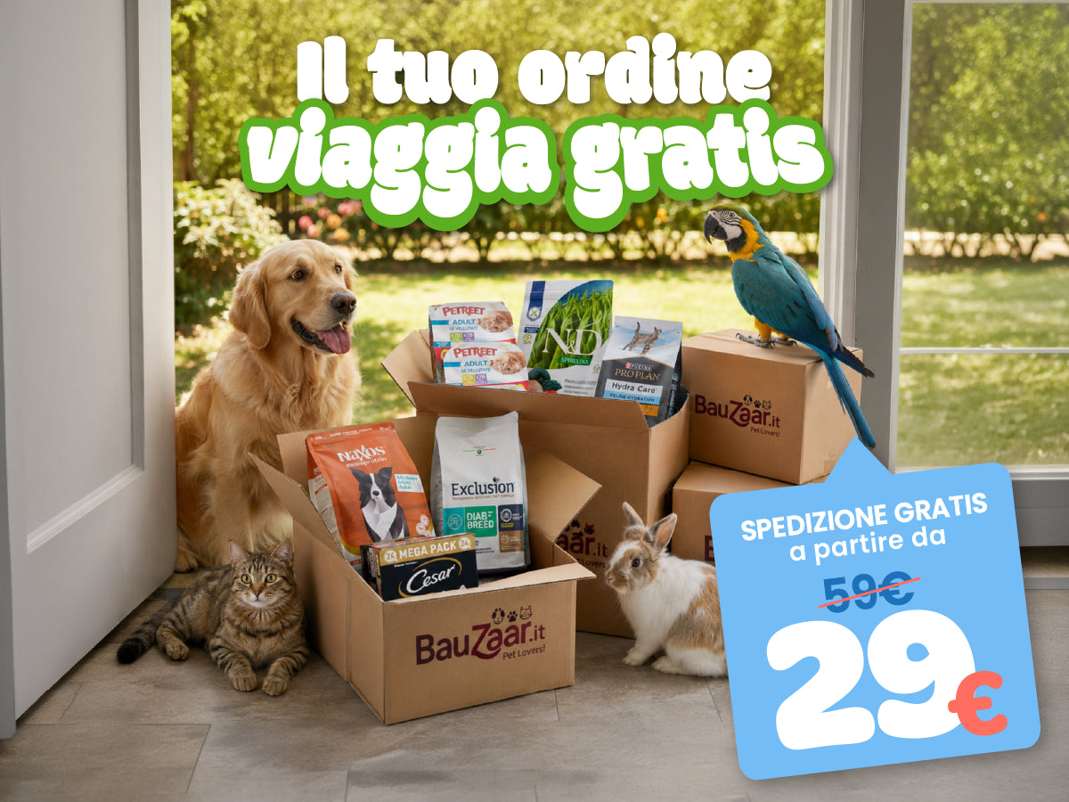 Bauzaar.it