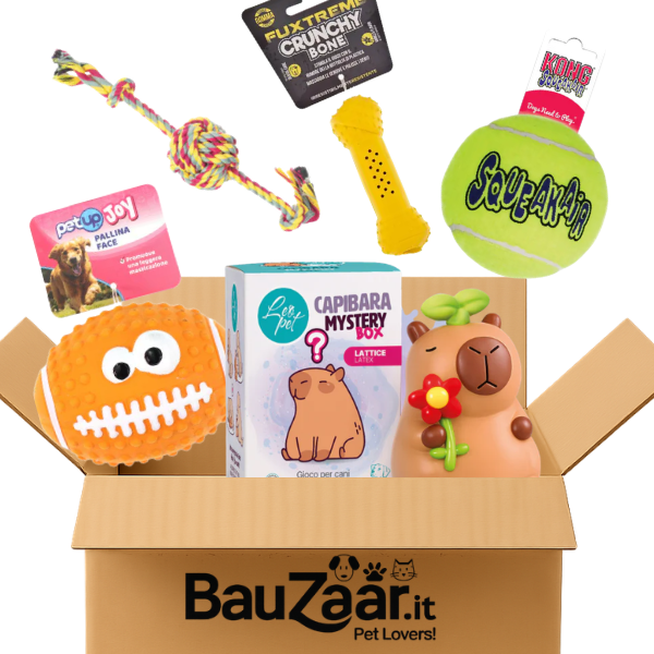 Bundle convenienza: giochi per cani Set Basic