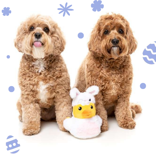 Peluche gioco per cani di Pasqua con squeaker FuzzYard