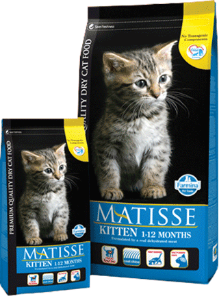 Matisse Superpremium Cat Kitten Pollo e riso - 10 kg