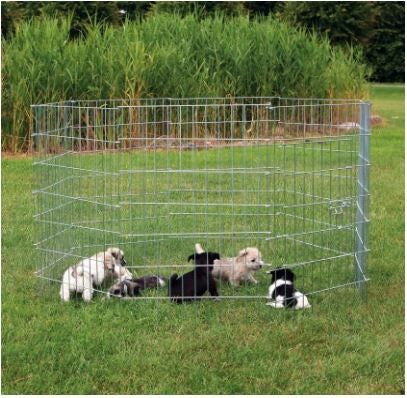 Recinto per Cuccioli Trixie