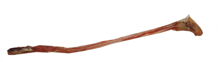 Niki Natural Barf Snack per cani Verga Bovina - 40 cm - Vitello