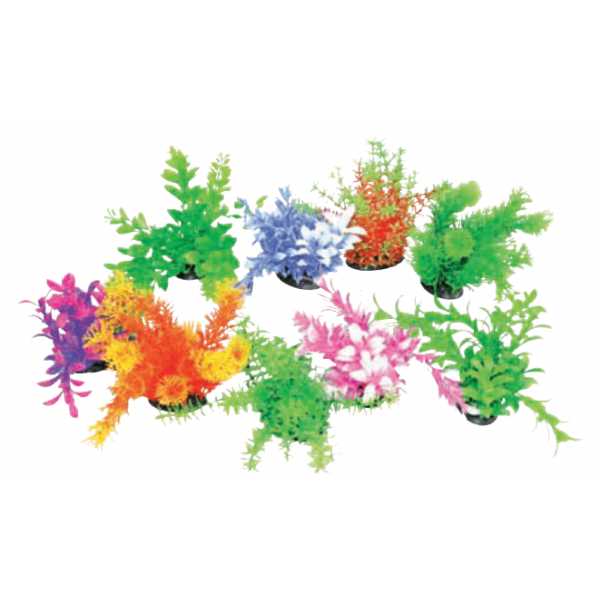 Decorativi Tropical Plan Amtra - 0,14-0,17 m