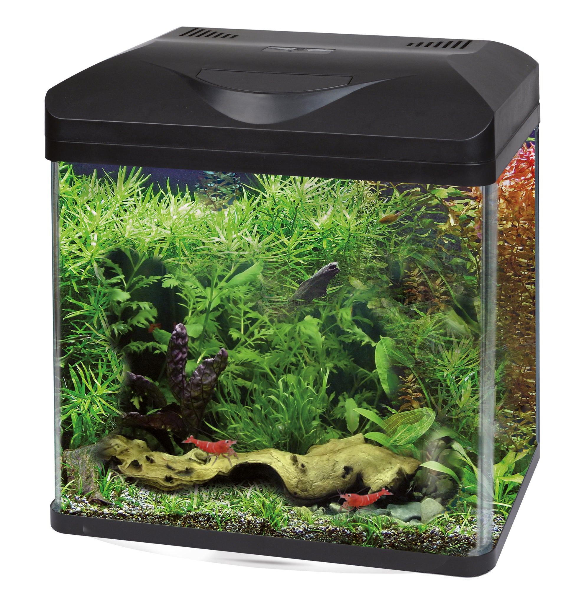 acquario d'acqua dolce laguna led amtra immagine2
