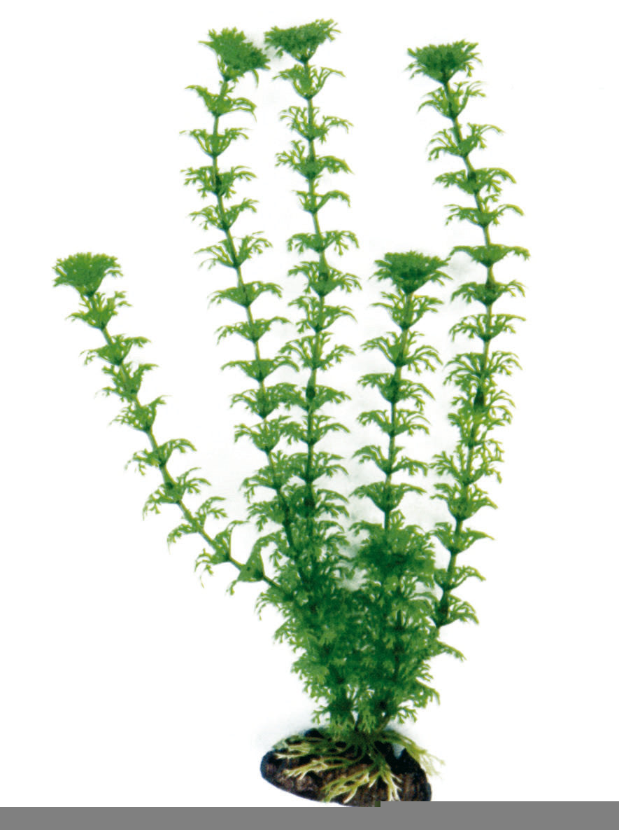 Pianta finta decorativo per Acquario Amtra - Small - Cabomba