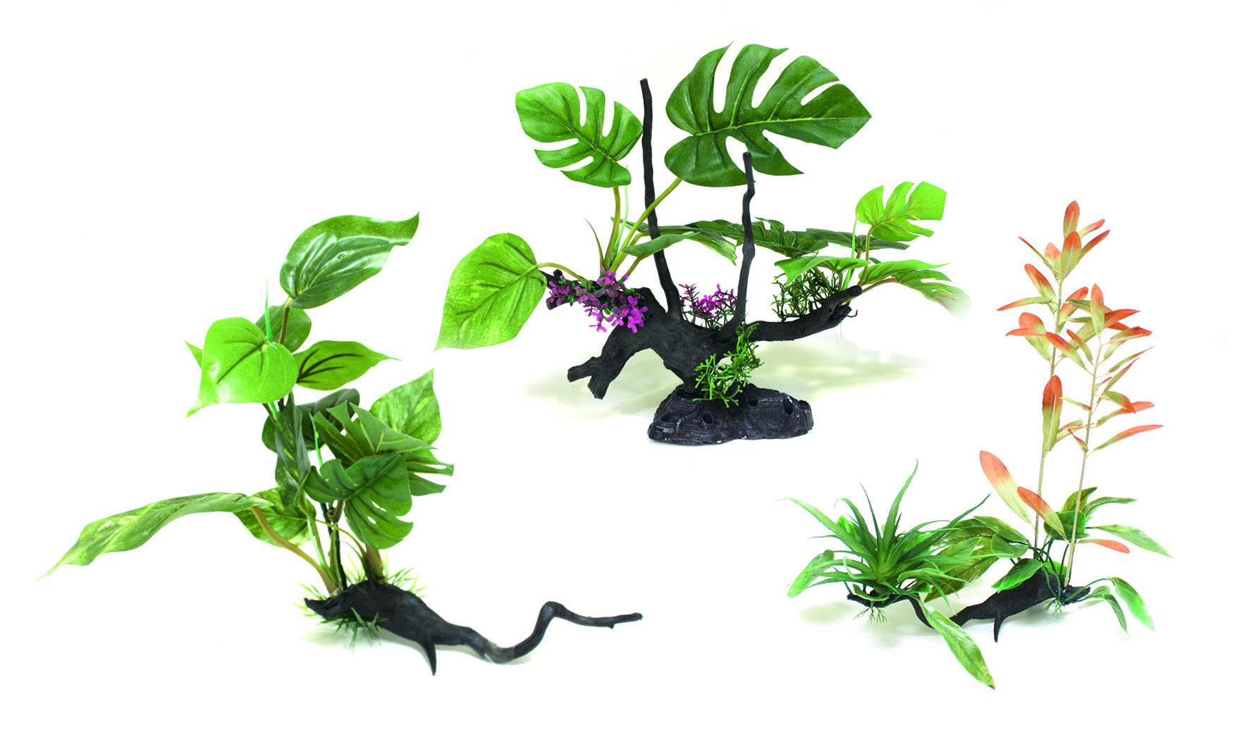 Piante finte decorative Wonder Amtra - 0,35-0,4 m - Driftwood series