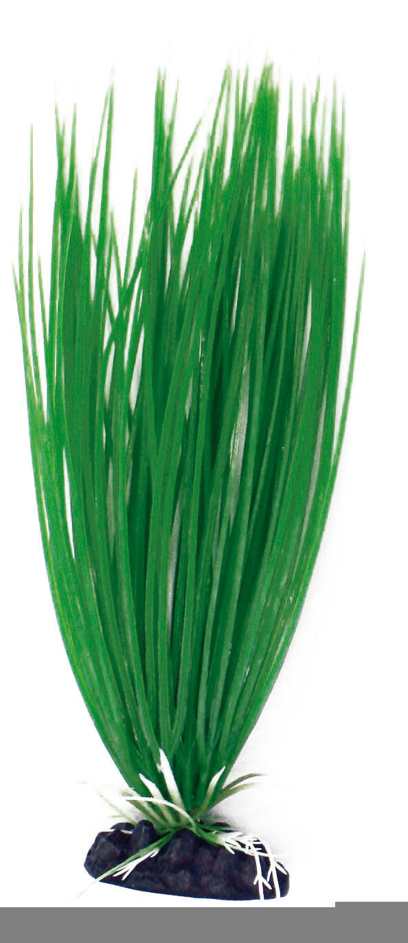 Pianta finta decorativo per Acquario Amtra - Large - Acorus