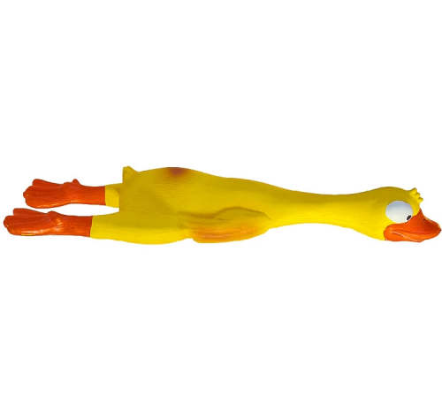 ferribiella anatra grande con occhioni immagine2