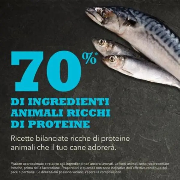 Acana Pacifica Recipe All Breeds Dog   bauzaarit.myshopify.com
