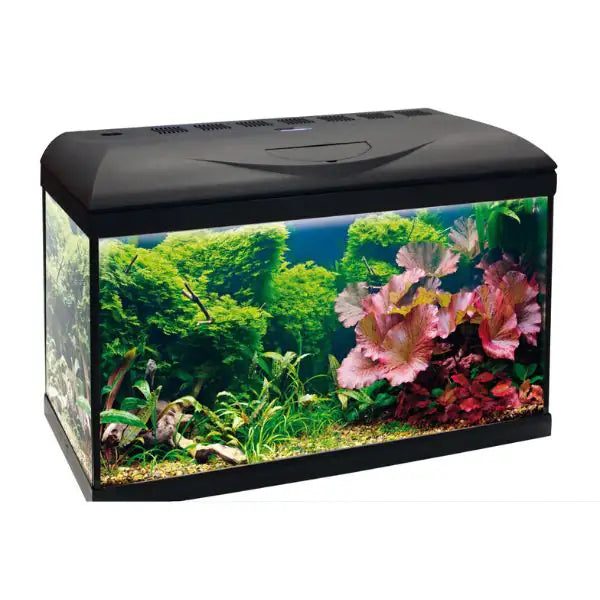 Acquario Basic Led Amtra  80 bauzaarit.myshopify.com