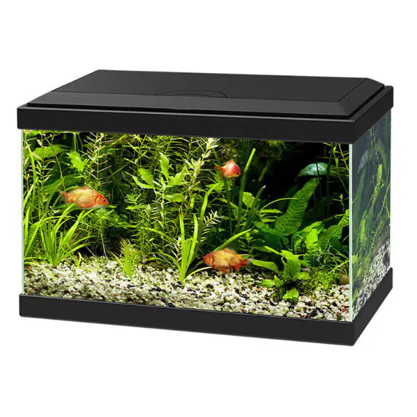 Acquario Ciano Aqua Light 20 Askoll  Nero - 40 x 20 x 31,3 cm bauzaarit.myshopify.com