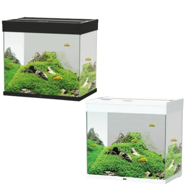 Acquario Ciano Emotions Nature Pro 60 Askoll portata 110 litri   bauzaarit.myshopify.com