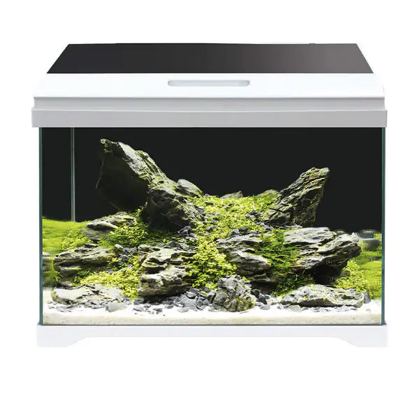 Acquario Modern Tank Amtra  40 LED bauzaarit.myshopify.com