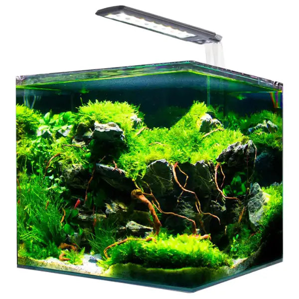 Acquario Nanotank Cubo System Amtra portata 18 litri   bauzaarit.myshopify.com