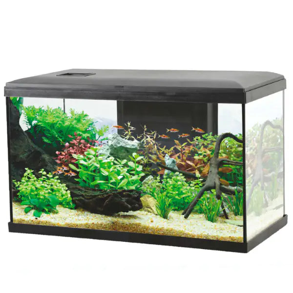 Acquario Ocean modello 60 Aqualovers  Nero - capacità 57 litri bauzaarit.myshopify.com
